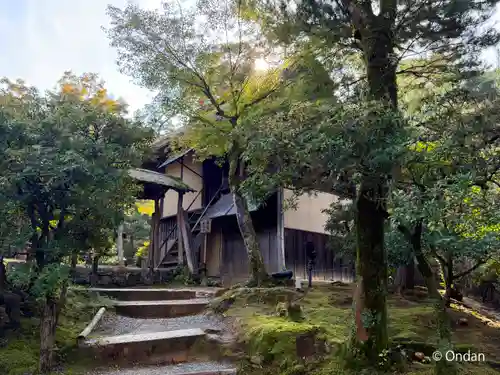 高台寺（高台寿聖禅寺・高臺寺）(京都府)