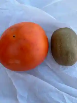 酒折宮(山梨県)