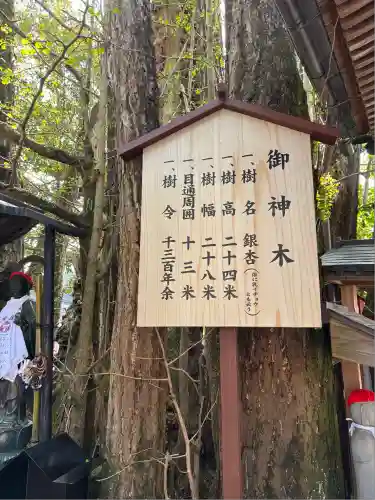 高塚愛宕地蔵尊(大分県)