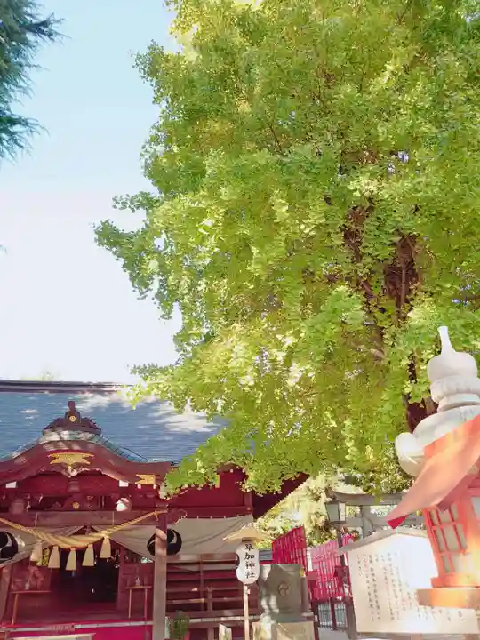 草加神社(埼玉県)