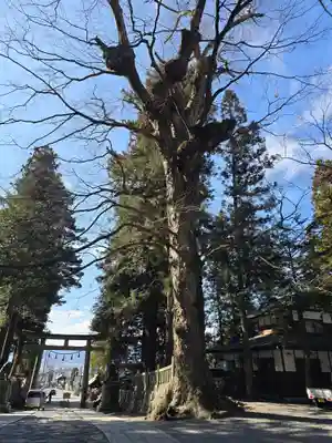 諏訪大社下社春宮(長野県)