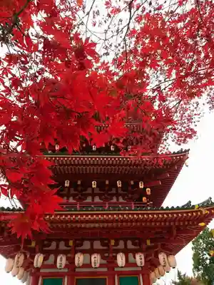 高幡不動尊　金剛寺の御朱印