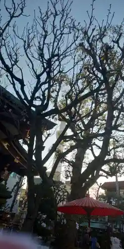 高木神社のその他建物