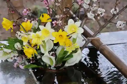 高司神社〜むすびの神の鎮まる社〜の手水