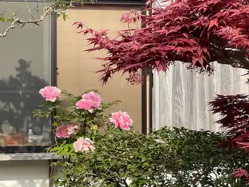 梅香寺(三重県)