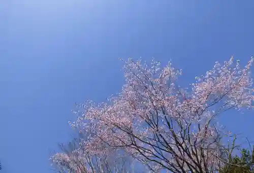 留辺蘂神社の自然