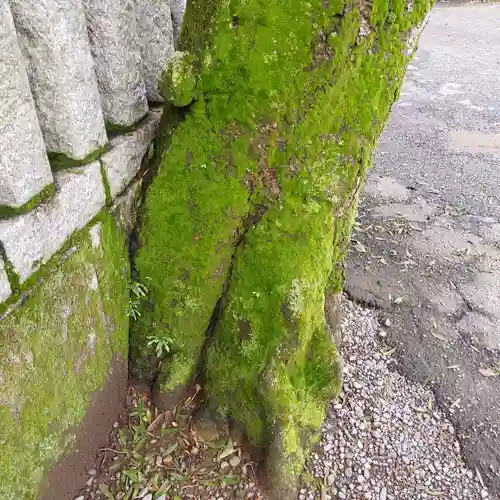 宿河原八幡宮の自然