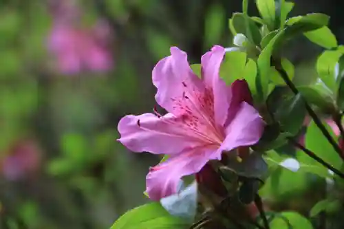 大六天麻王神社(福島県)