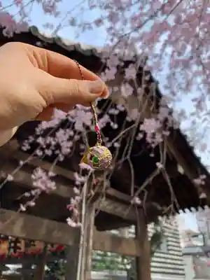 新井薬師（梅照院）のその他建物