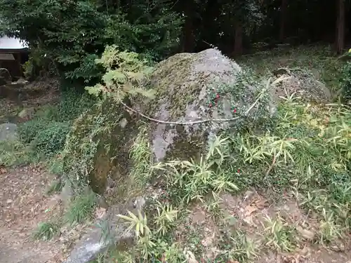 飯名神社の自然