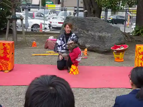 富岡八幡宮の体験その他