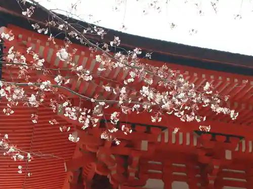 賀茂御祖神社（下鴨神社）の自然