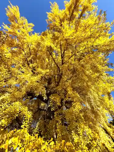 丹生酒殿神社(和歌山県)