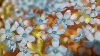 阿邪訶根神社の手水舎