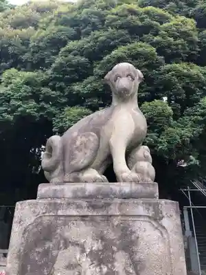 瀧泉寺(目黒不動尊)の狛犬
