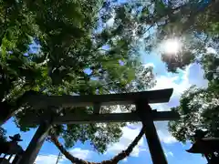 白鳥神社の鳥居