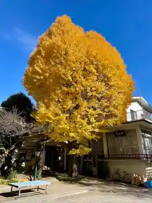 千住本氷川神社(東京都)