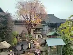 興徳寺の建物その他