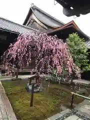 観智院（東寺子院）の本殿