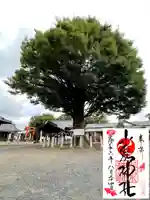 小泉神社(群馬県)