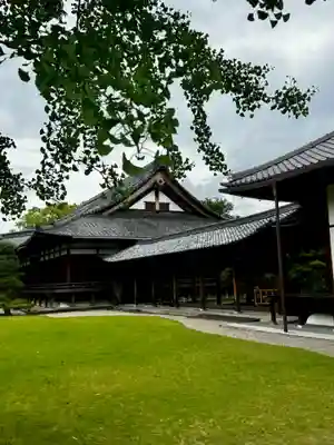 東寺（教王護国寺）(京都府)