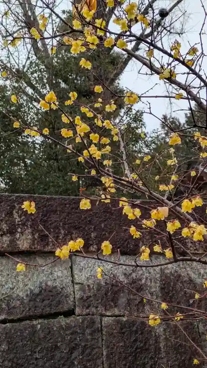 新日吉神宮(京都府)