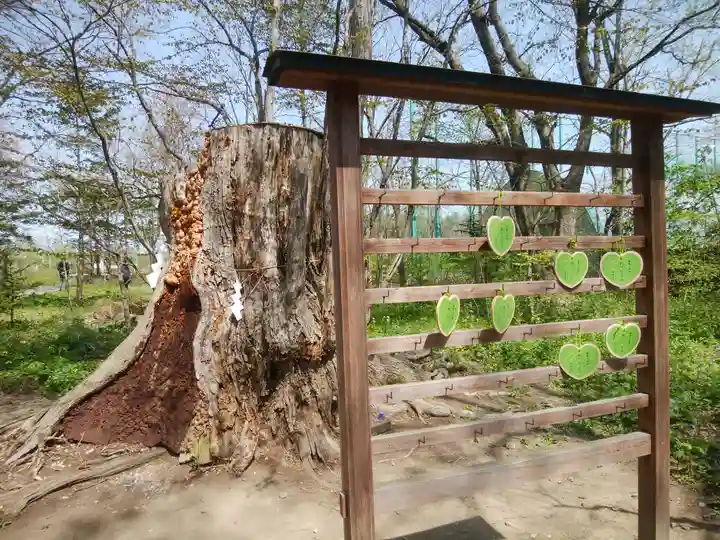 帯廣神社の絵馬