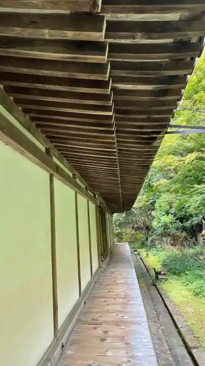 浄瑠璃寺(京都府)