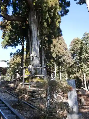 身延山奥之院思親閣のその他建物