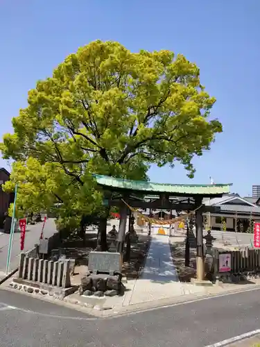 星神社の鳥居