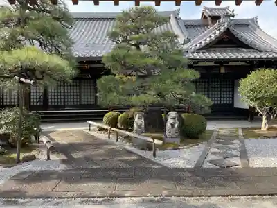 地蔵院(京都府)