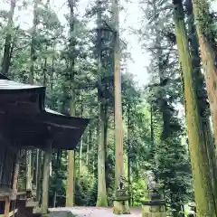 賀蘇山神社の建物その他