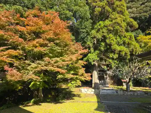 天寧寺(京都府)