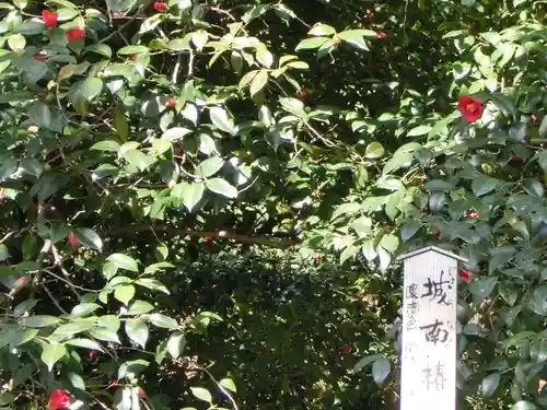 城南宮(京都府)