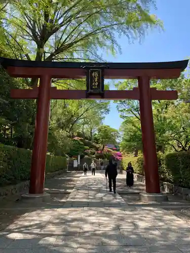 根津神社の鳥居