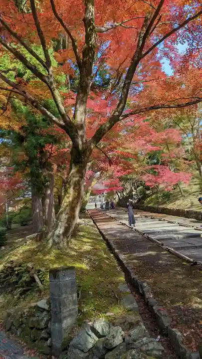 毘沙門堂門跡(京都府)