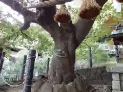 本牧神社(神奈川県)