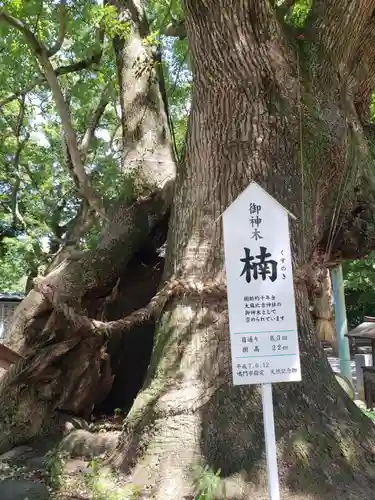 大麻比古神社の自然