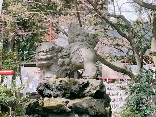 渋川八幡宮の狛犬