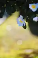 浄土寺(兵庫県)