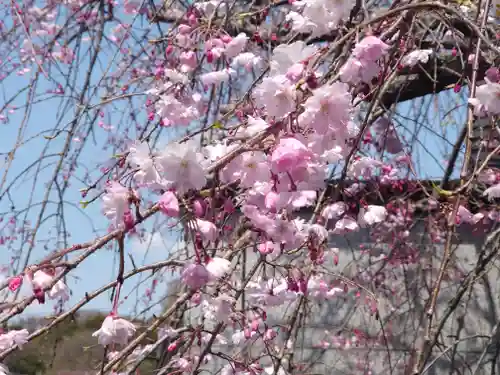 妙福寺(神奈川県)
