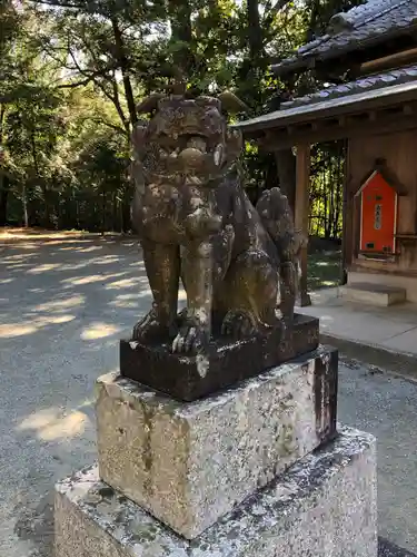 五所八幡宮の狛犬