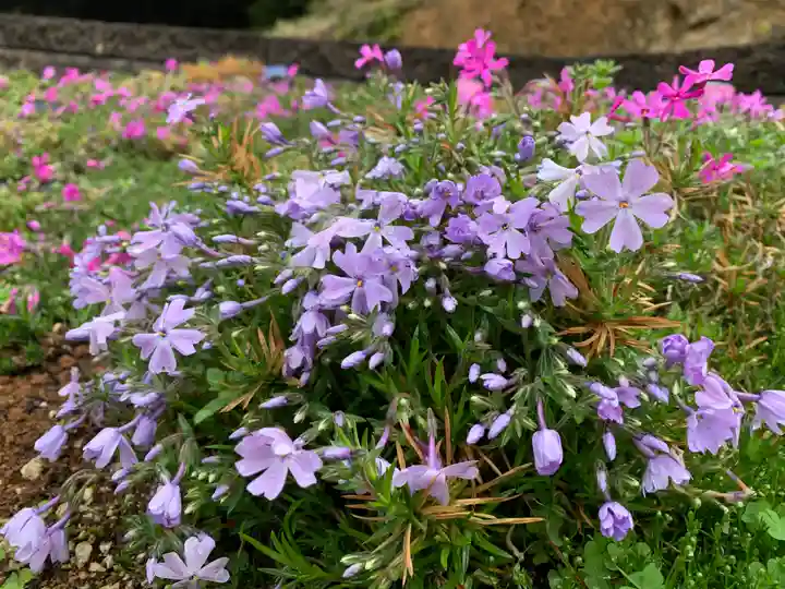 普門寺(切り絵御朱印発祥の寺)(愛知県)