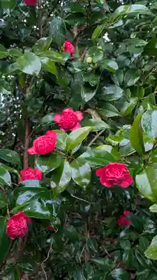 城南宮(京都府)