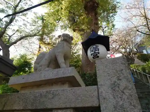 北野天満神社の狛犬