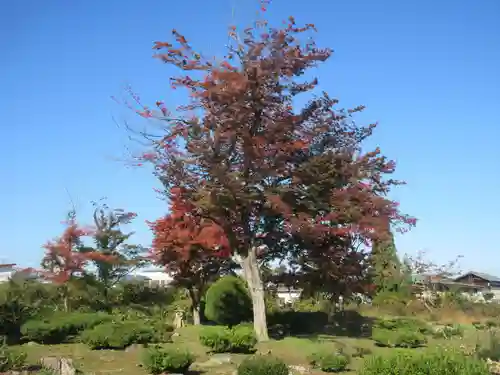 法泉寺(山形県)