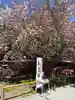 志波彦神社・鹽竈神社(宮城県)