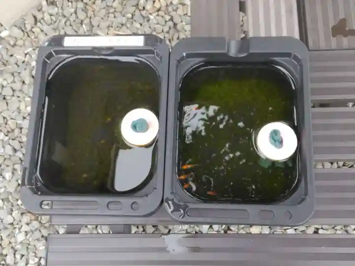 金樹寺(京都府)