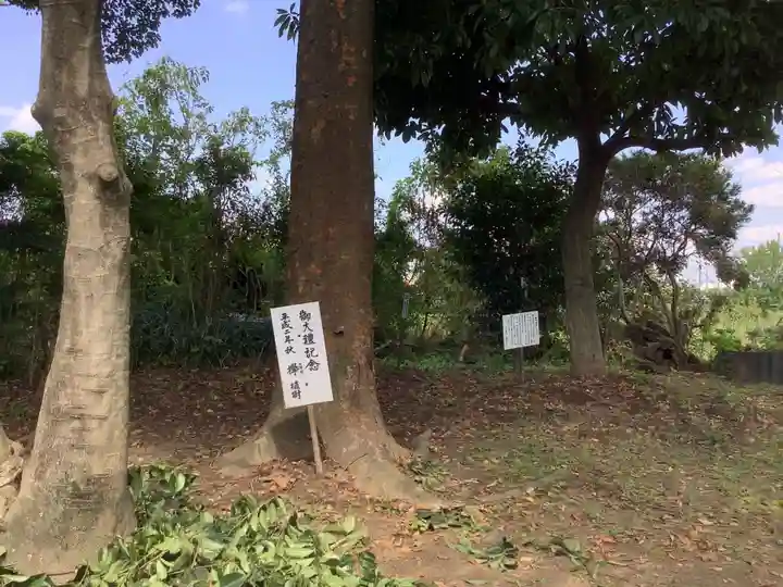 八幡社(宮後町)の自然