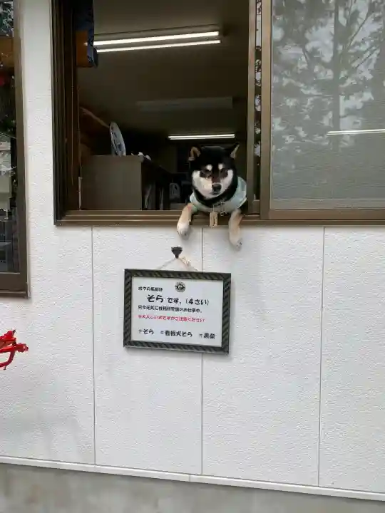 伏木神社の{uncategorized: "未分類", other: "その他", undefined: "問題あり", building: "その他建物", grave: "お墓", sacred_gate: "鳥居", guardian: "狛犬", statue: "像", buddha: "仏像", history: "歴史", nature: "自然", garden: "庭園", animal: "動物", pagoda: "塔", temizu: "手水舎", mountain_gate: "山門・神門", sanctuary: "本殿・本堂", subordinate: "末社・摂社", art: "芸術", scenery: "景色", jizo: "地蔵", ema: "絵馬", goshuin: "御朱印", omikuji: "おみくじ", items: "授与品その他", amulet: "お守り", goshuincho: "御朱印帳", eats: "食事", festival: "お祭り", votive_dance: "神楽", shichigosan: "七五三参", wedding: "結婚式", experience: "体験その他", initially: "初詣", around: "周辺", anti_infection: "感染症対策"}